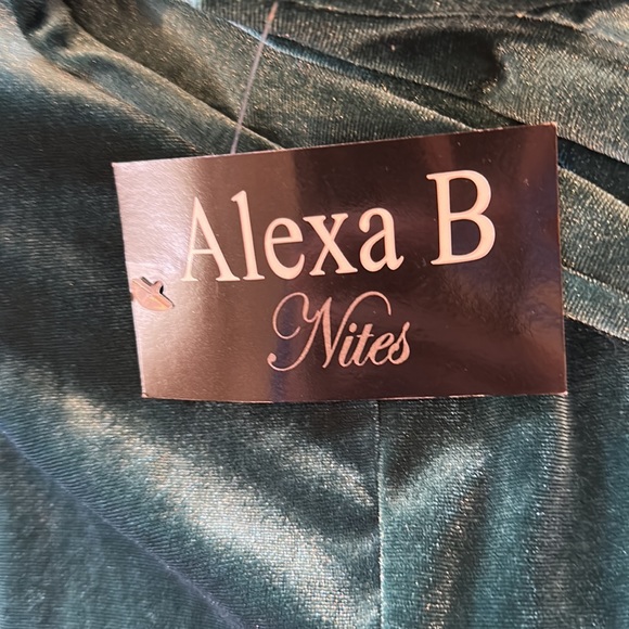 Nwt Alexa B Nites green velvet dress - Picture 11 of 11